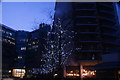TQ2681 : View of illuminated trees in Sheldon Square by Robert Lamb