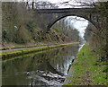 Freeth Bridge crossing the Tame Valley Canal