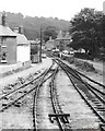 Parkend Goods Yard in 1968