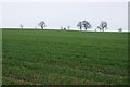 Farmland near Hagley Hill Farm