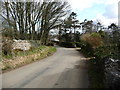 Road heading east into Redmain