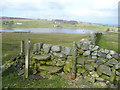 Stile on footpath between Outside Lane and Bodkin Lane, Oxenhope