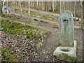 Disused drinking water supply, off Spoonygreen Lane