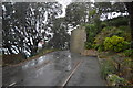 Retaining wall, Ilsham Marine Drive