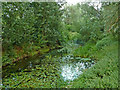 River Avon at Newbold in Warwickshire