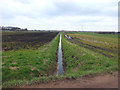 Drainage ditch near Larkfield Nurseries