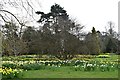 Spring: View east from the car park at the Place for Plants