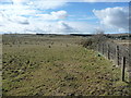 Farmland drained by Threapland Gill