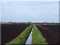 SD3917 : Field drain West of Sluice Farm by Gary Rogers