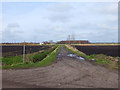 SD3818 : Track to Ainscough's Covert from New Lane by Gary Rogers