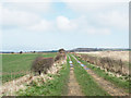 Farm road with public footpath