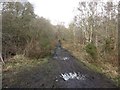 Footpath, Congburn Plantation