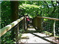 Footbridge over the Clywedog on the Torrent Walk