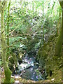 Afon Clywedog on the Torrent Walk