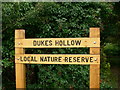 Dukes Hollow Nature Reserve