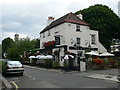 The Black Lion