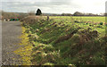 Car park, Bodmin Airfield