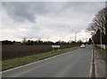 Entering  Swinefleet  from  Reedness