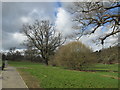 Hilly Fields Park