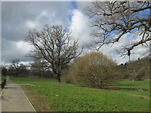 TQ3298 : Hilly Fields Park by Peter S
