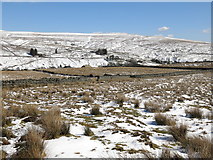NY8440 : Moorland and rough pastures above High Allers by Mike Quinn