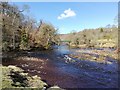 NZ0120 : River Tees at the confluence of the River Balder by Clive Nicholson