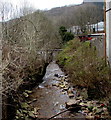 Downstream along Nant Orci between Treorchy and Ynyswen