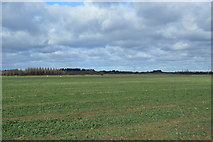 TL4169 : Cadwin Field by N Chadwick