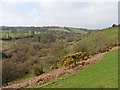 Pulham valley