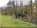 Footpath beside the River Pulham