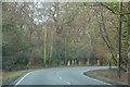 New Forest : Holmsley Road B3058