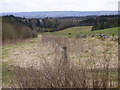 Fields and Woodland near Haddockston