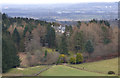 Fields and Woodland near Haddockston