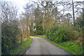 SS7012 : Mid Devon : Small Lane by Lewis Clarke