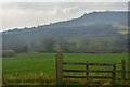 East Devon : Grassy Field