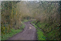 East Devon : Tunnel Lane