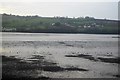 Mud, Teign Estuary