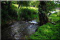 Broadmead Brook, Shire Hill, nr West Kington, Wiltshire 2014