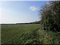 Field on the edge of Pocklington