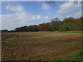 Field adjacent to Newbridge Lane