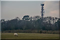 East Devon : Grassy Field