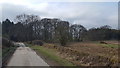 Minor road near Kelton Hill