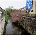 South along The Cut from Hill Street, Lydney