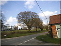 Crossroads in Swan Bottom