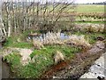 A small pond near Mains of Kincraigie