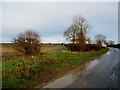 Entering  Burton  Fleming  on  Wold  Newton  Road