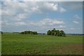 Field near Braco