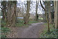 Footpath, Nonsuch Park