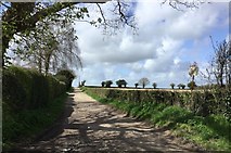 TQ3817 : Track to Broomfield Farm by Chris Thomas-Atkin