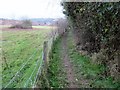 Footpath with view over Exwick